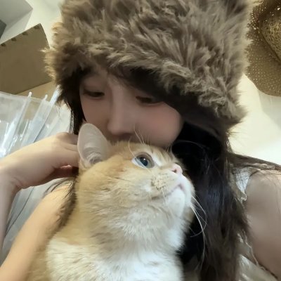 爱麻夫人热映中