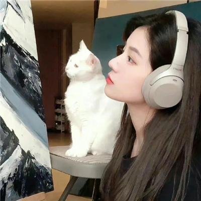 猫娘乐园